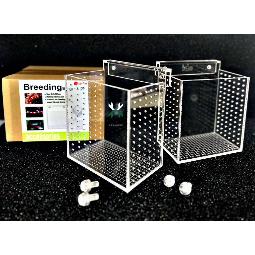 BOX DƯỠNG CÁ-TÉP MICA