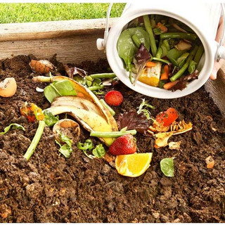 Chế Phẩm Vi Sinh Trichoderma Dùng Ủ Phân, Xử Lý Rác (Gói 1kg)