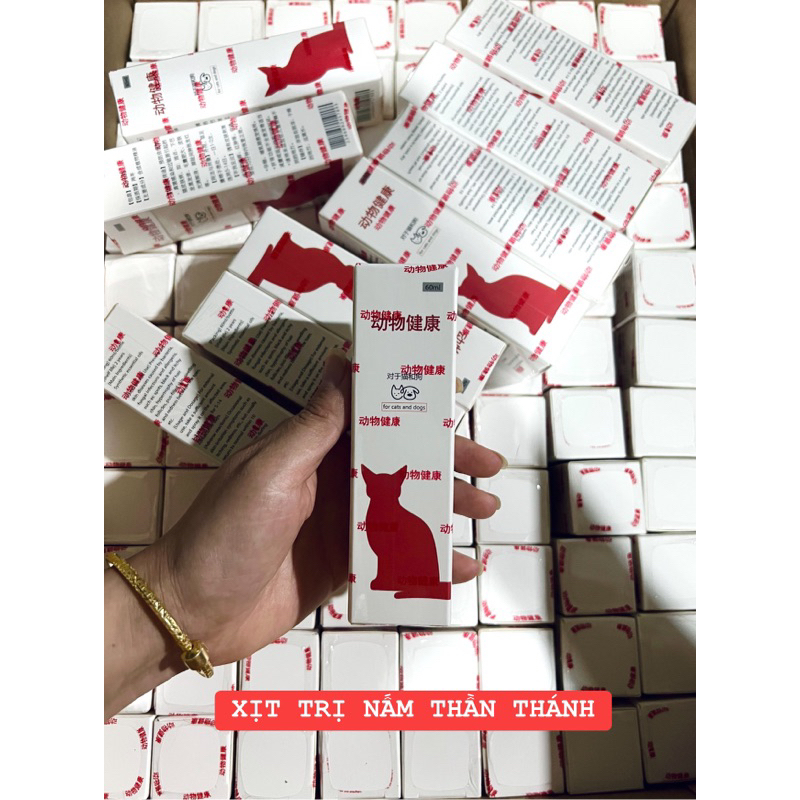 Xịt nấm cho mèo thần thánh