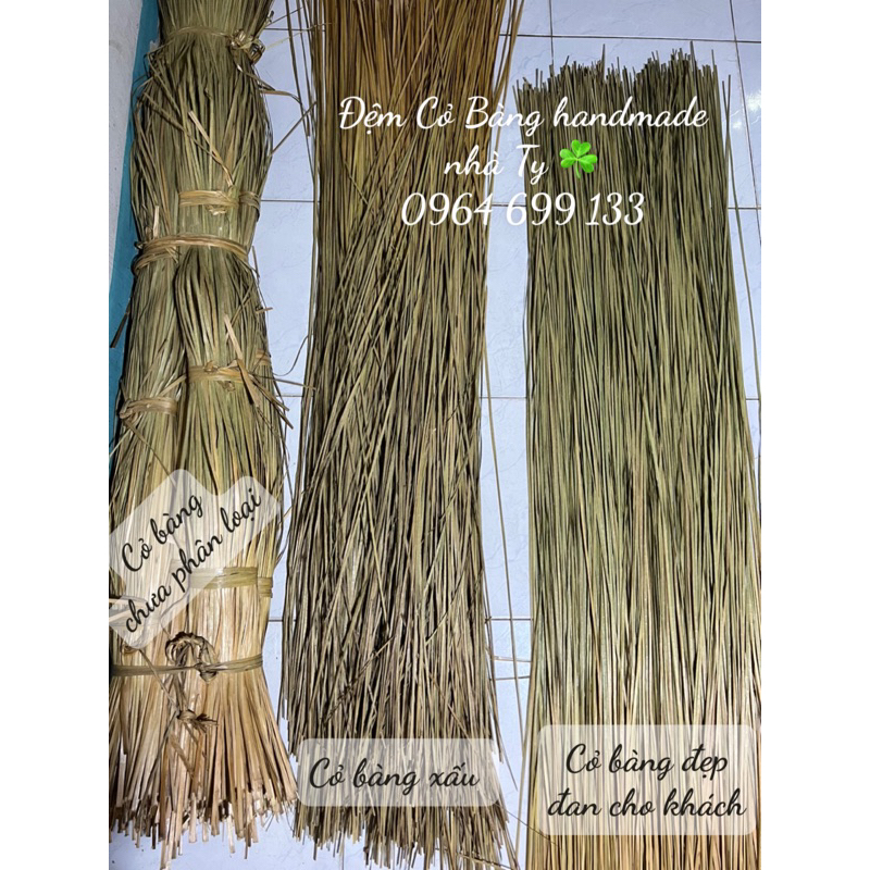 Đệm Cỏ Bàng handmade nhà Ty ☘️