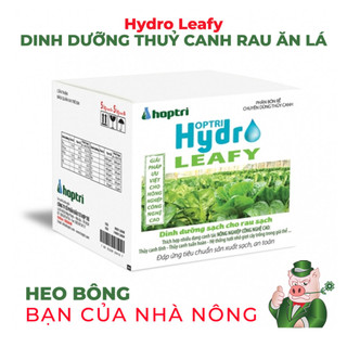 Dinh dưỡng thủy canh rau ăn lá - hợp trí hydro leafy - thùng10kg part a-b