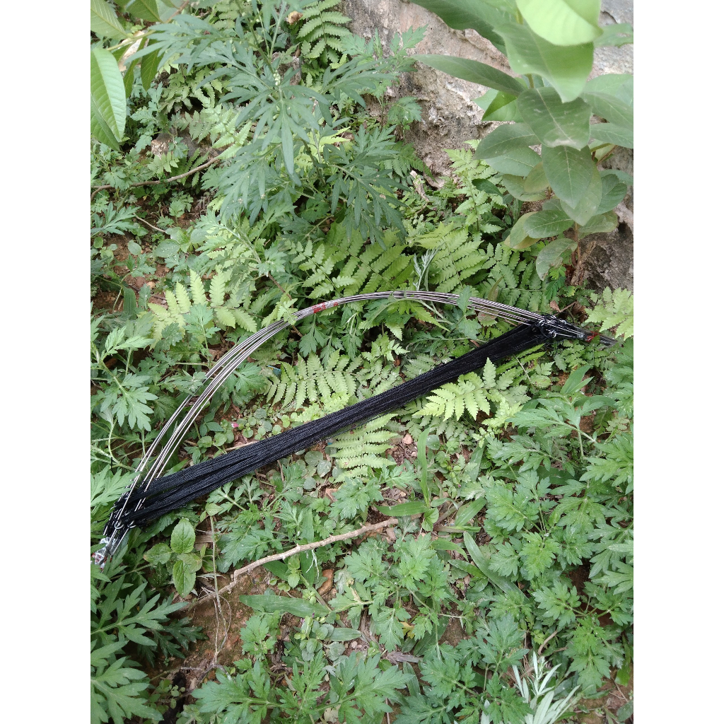 - Xả bộ combo 10 cung bẫy chim cút + 1 loa bluetooth có đèn nháy +  1 thẻ nhớ tiếng chim cút - HÀNG CHUẨN