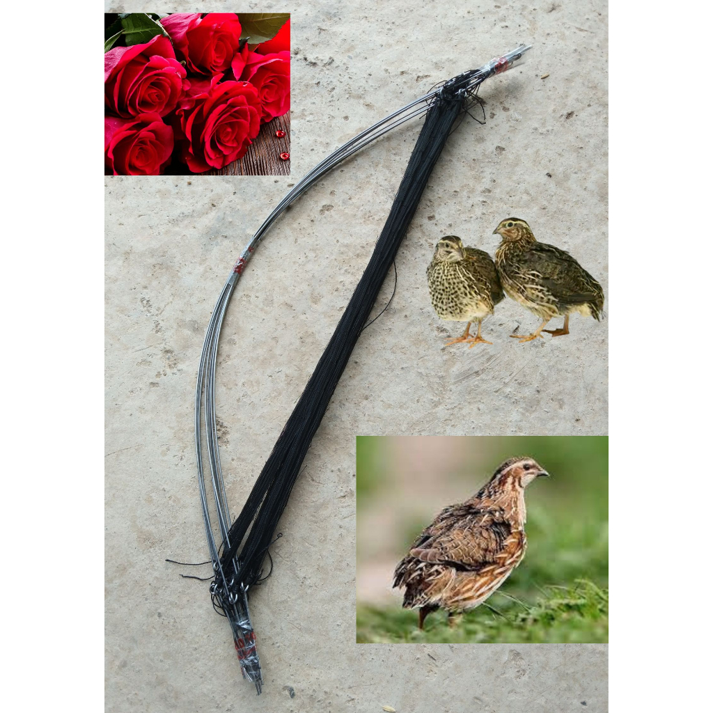 - Xả bộ combo 10 cung bẫy chim cút + 1 loa bluetooth có đèn nháy +  1 thẻ nhớ tiếng chim cút - HÀNG CHUẨN