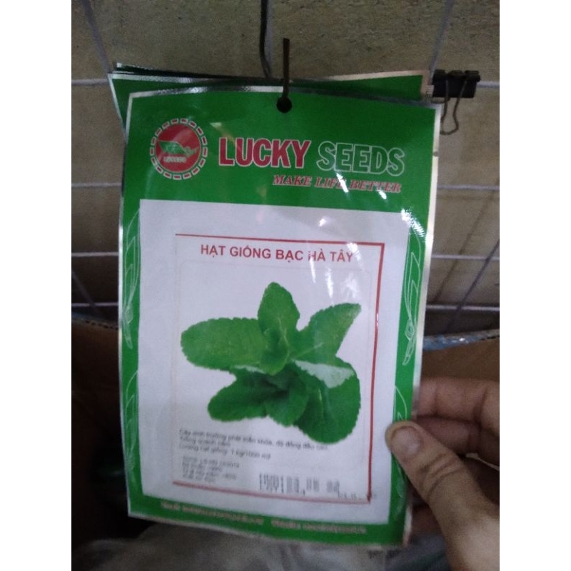 HẠT GIỐNG BẠC HÀ TÂY GÓI 0,1GR