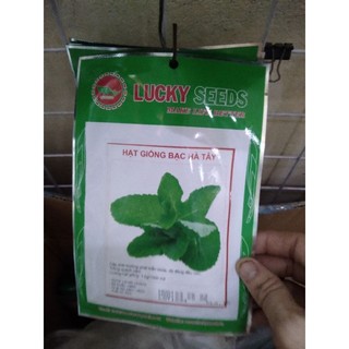 Hạt giống bạc hà tây gói 0,1gr