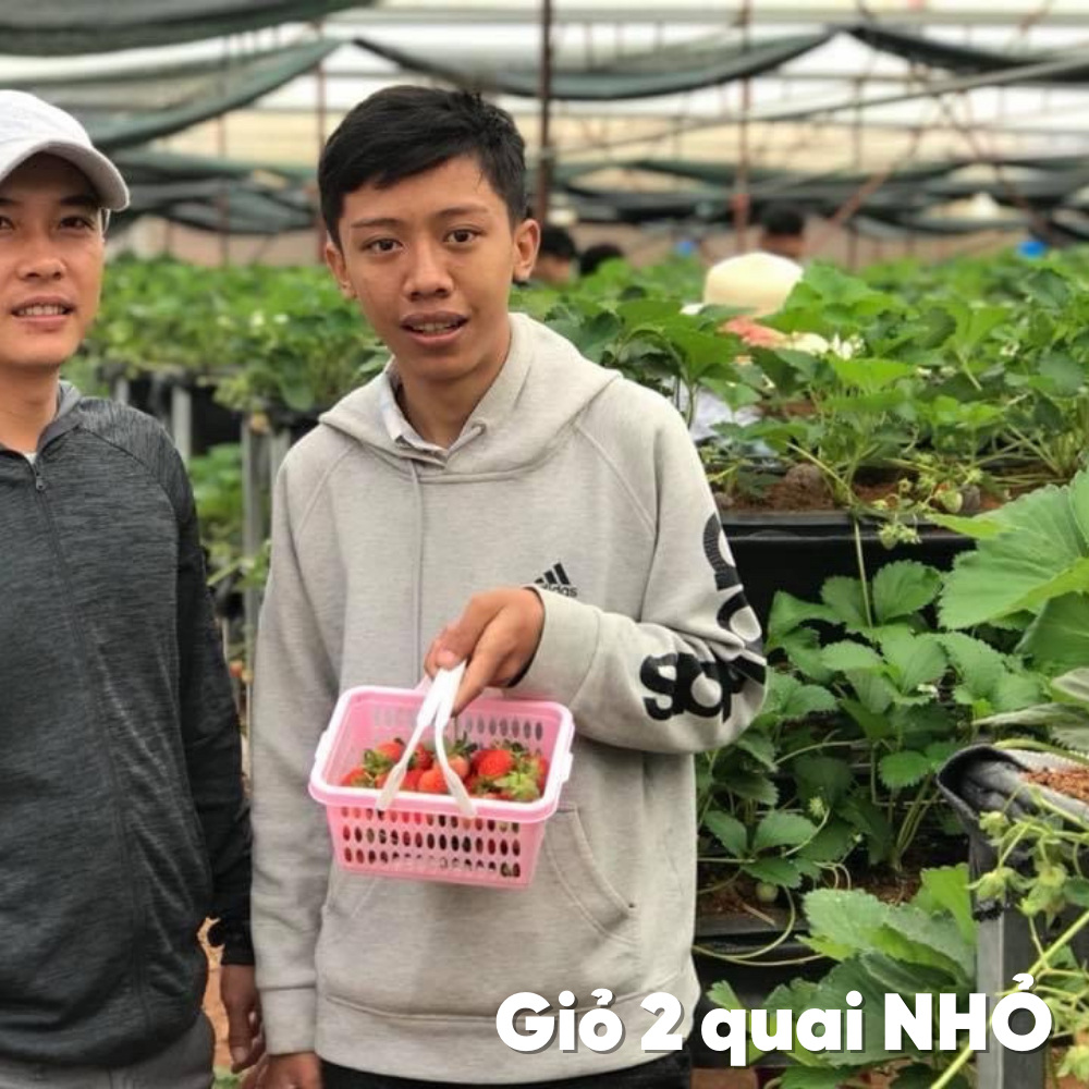 Giỏ đựng đồ nhà tắm có lỗ, đựng dầu gội có quai xách màu xanh lá, dương, vàng, đỏ - GIỎ 2 QUAI CHÂU HƯNG