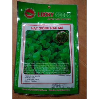 Hạt giống rau má ta gói 0,5gr