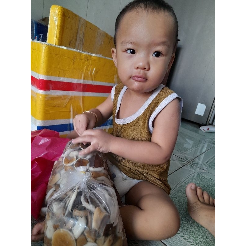 Nấm rừng tràm 1kg loại ngon.