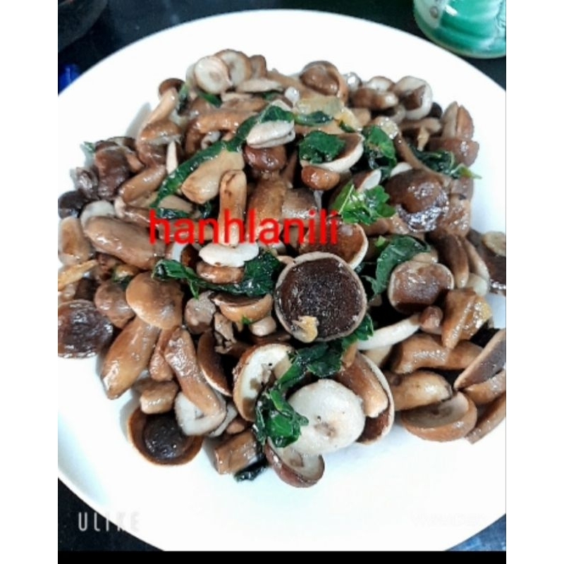 Nấm rừng tràm 1kg loại ngon.