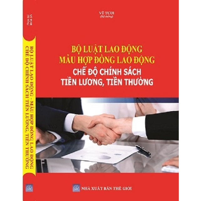 Sách - Bộ Luật Lao Động - Mẫu Hợp Đồng Lao Động - Chế Độ Chính Sách Tiền Lương, Tiền Thưởng