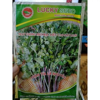 Hạt giống mùi tía cao sản 20gr
