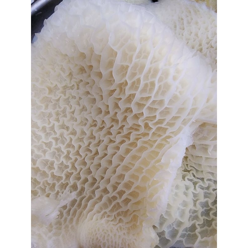 LÁ SÁCH, KHĂN LONG, TỔ ONG BÒ LÀM SẠCH 500GR