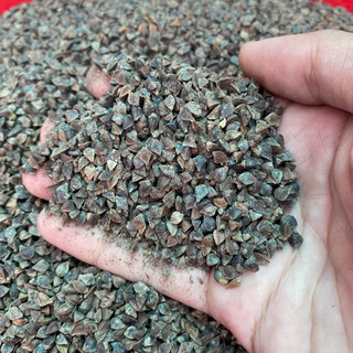 Hạt ba khía trộn thêm thức ăn hamster,sóc cảnh.