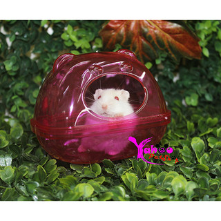 [xả hàng dọn kho] Nhà tắm mika ếch nhỏ cho Hamster