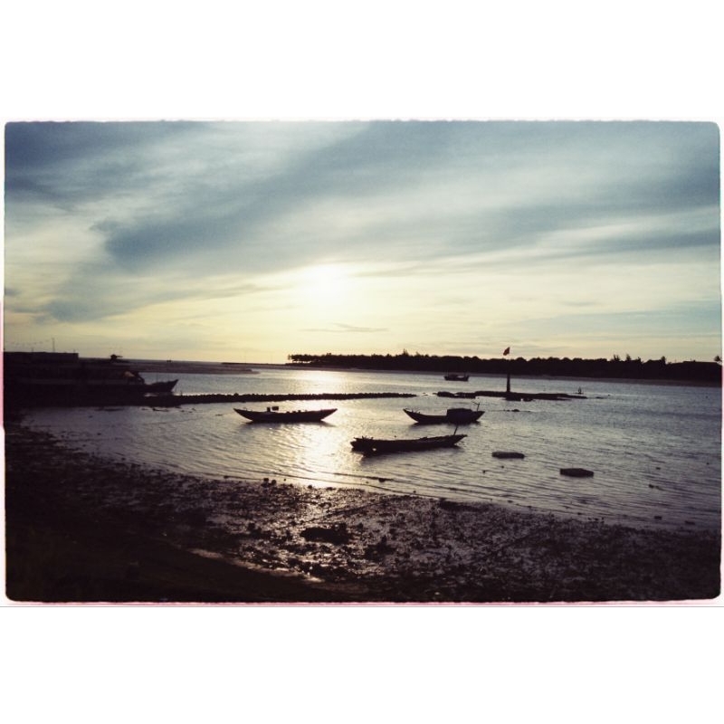 Film kodak vision 3 250D  - iso 250 - 36 kiểu - chụp được máy PnS