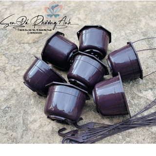 Combo 6 chậu nhựa treo to sen đá phương anh size 20cm, chậu trồng sen đá, chậu trồng cây, lỗi 1 đổi 1