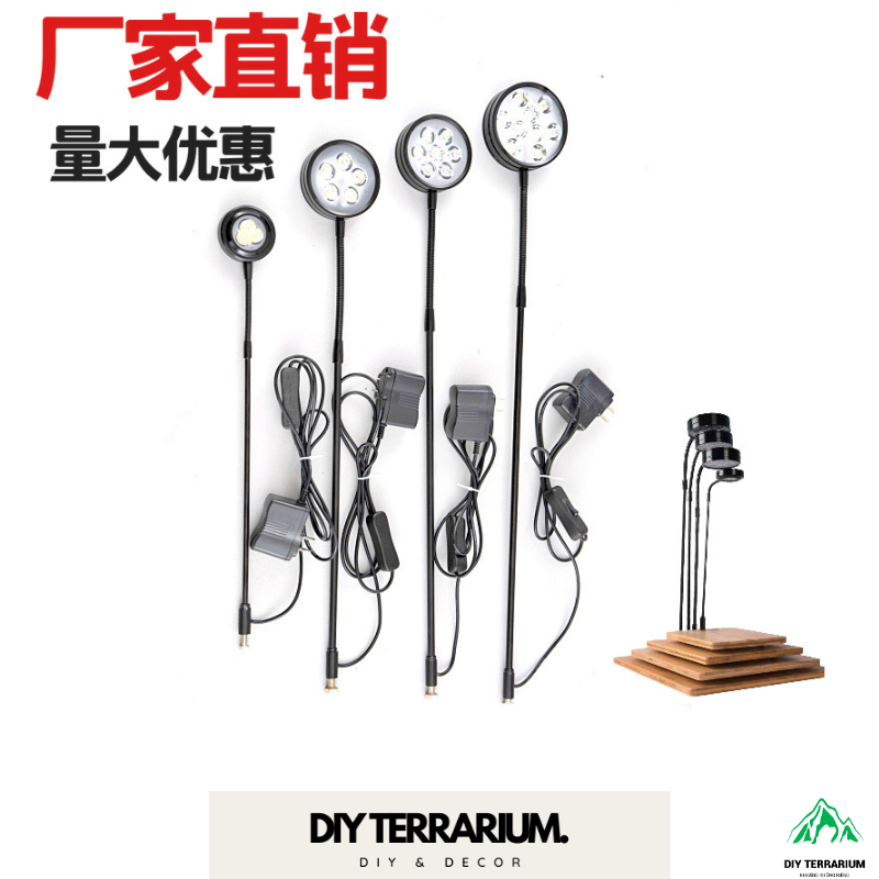 Đèn Led Terrarium Kèm Đế Gỗ Tiết Kiệm Điện Full Box