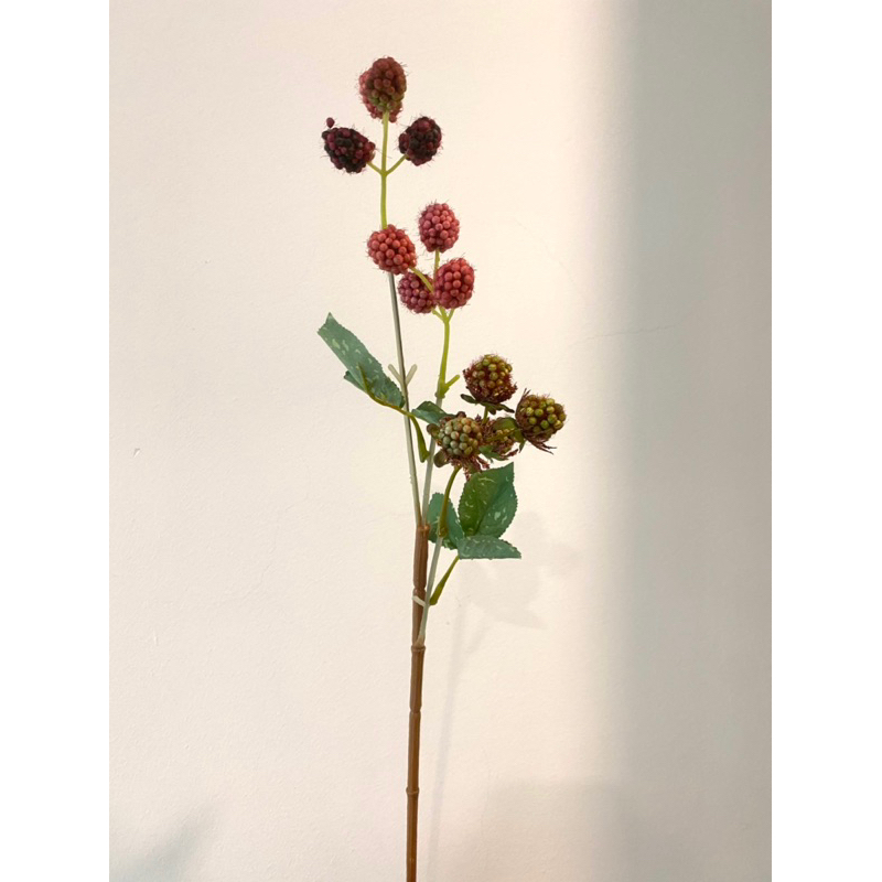 Cành quả mâm xôi chùm - TheThirdA Home CL0023644 A
