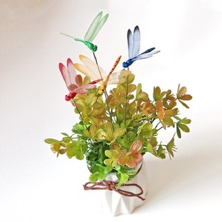 Chuồn chuồn đa sắc, sải cánh rộng 8,5 cm