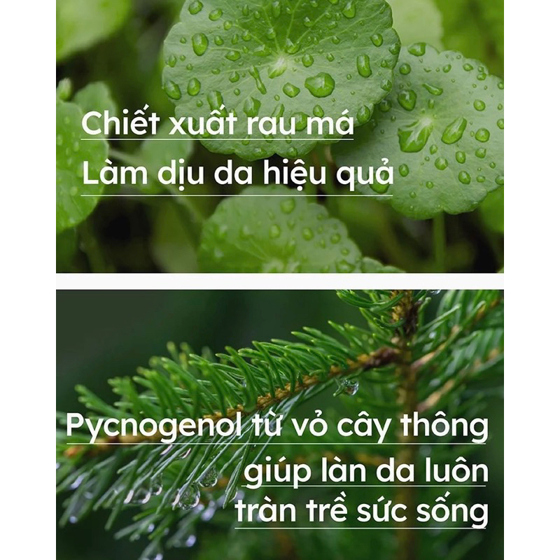 Kem chống nắng Dr.G Green Mild Up Sun SPF50+/PA++++ 50ml