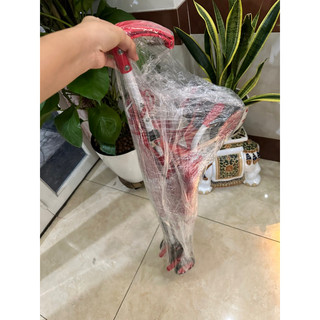 THANH LÝ XE ĐẨY DU LỊCH KINLEE SIÊU NHẸ MÀU ĐỎ