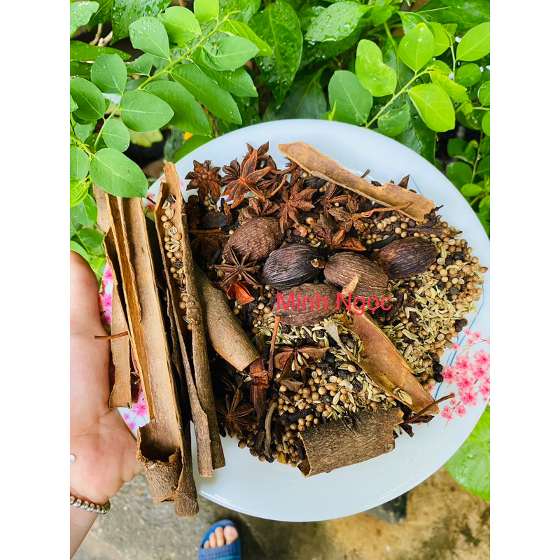 set ngâm r mai quế lộ