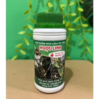 sát khuẩn ngọc linh 12h khô nhanh vết thối cho hoa lan, cây cảnh