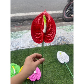 cành hồng môn trang trí lãng hoa