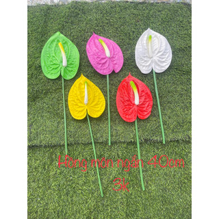 cành hồng môn trang trí lãng hoa