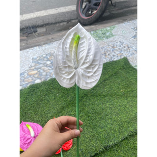 cành hồng môn trang trí lãng hoa