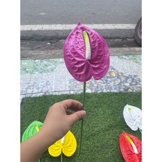 cành hồng môn trang trí lãng hoa