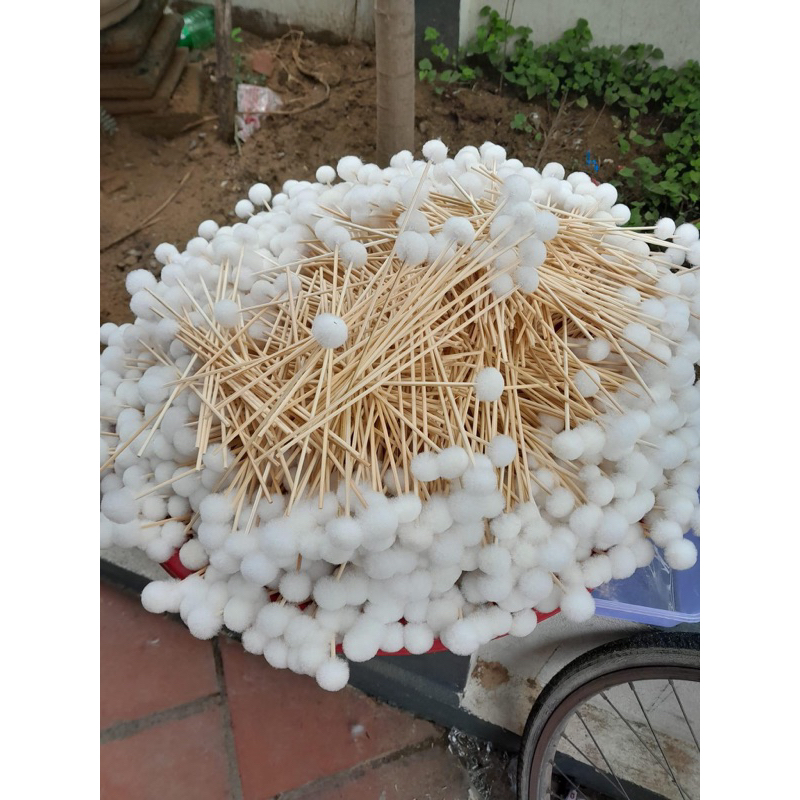 Bông se tai lông vịt