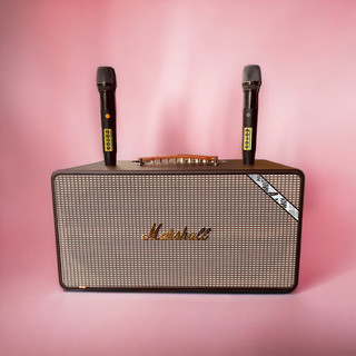 Loa xách tay 2 bass 16 20 mini echo reverb nghe nhạc karaoke cực hay