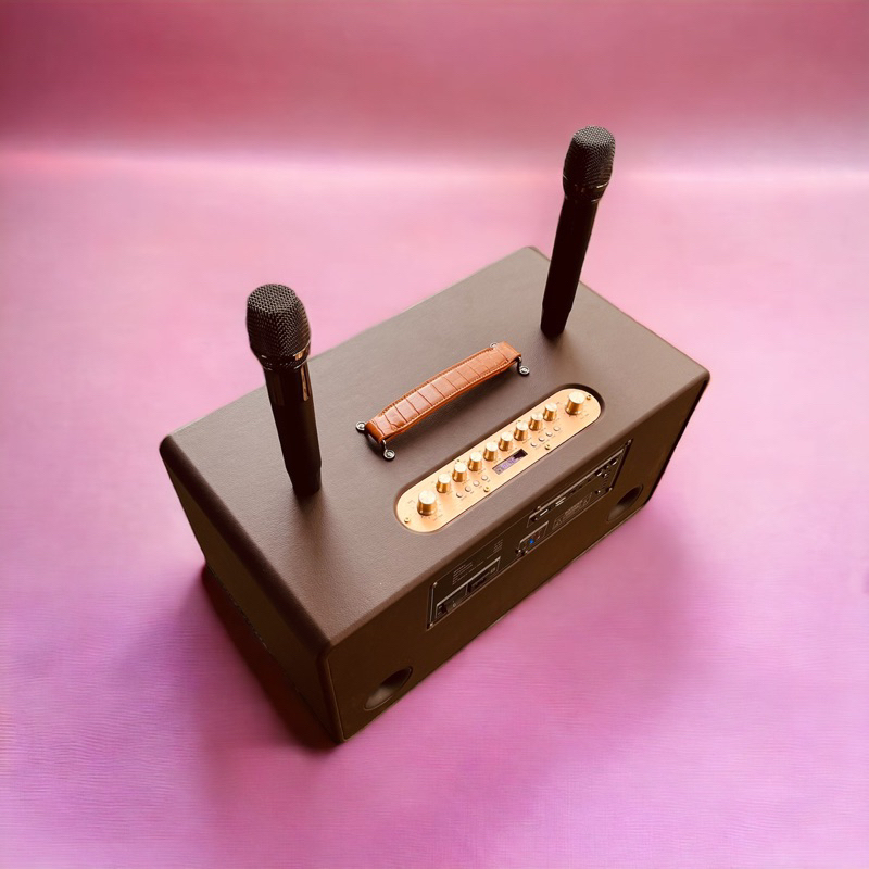 LOA XÁCH TAY 2 BASS 16 20 MINI ECHO REVERB NGHE NHẠC KARAOKE CỰC HAY