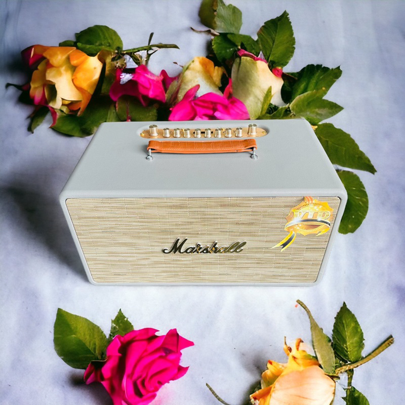 LOA XÁCH TAY 2 BASS 16 20 MINI ECHO REVERB NGHE NHẠC KARAOKE CỰC HAY