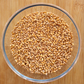 1kg Hạt Giống Cỏ Lúa Mì (Mầm Lúa Mạch) Dễ Trồng, Thơm Ngon.
