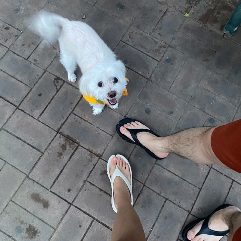 Dép Tông Bánh Mì Xẻ Ngón Unisex Hot Trend