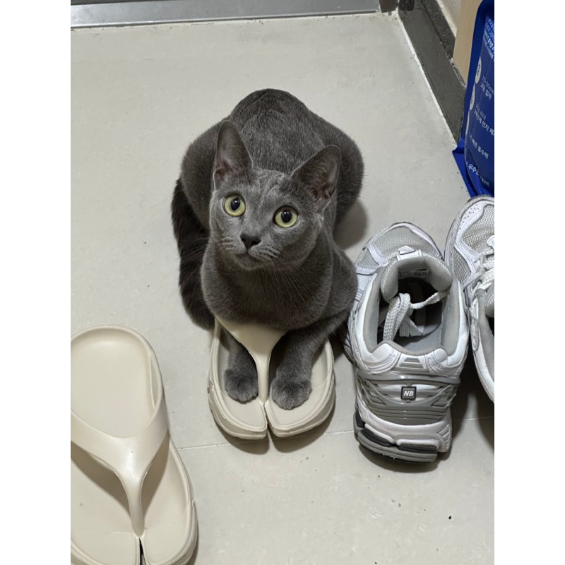 Dép Tông Bánh Mì Xẻ Ngón Unisex Hot Trend