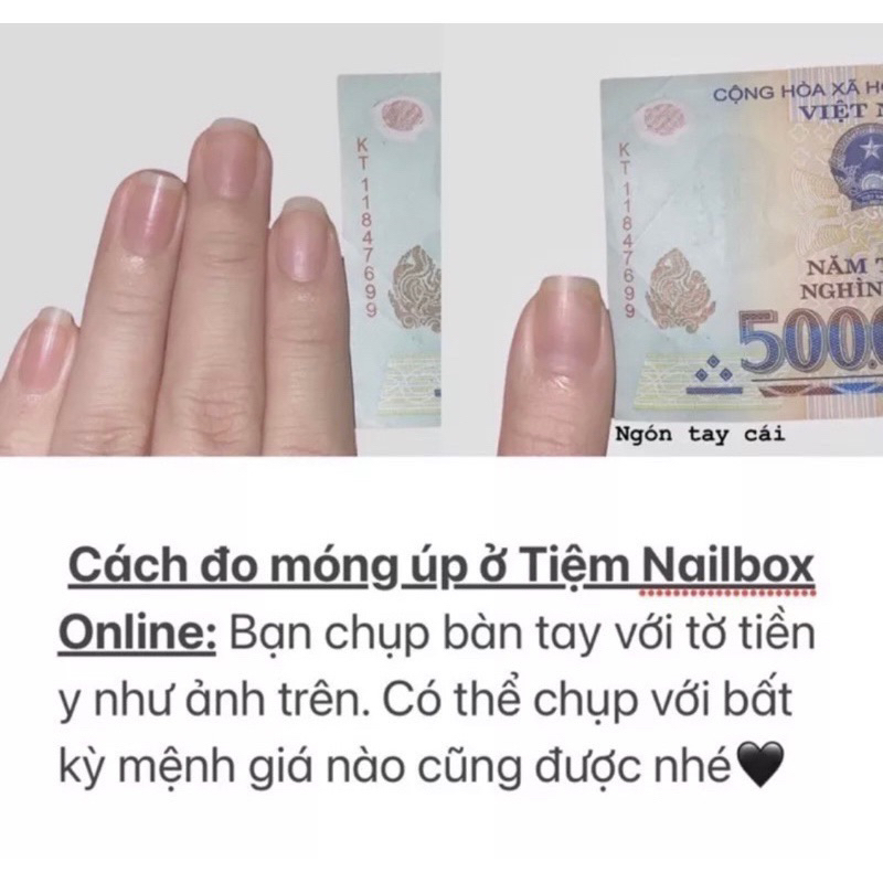 Nailbox thiết kế gấu hồng xinh xắn