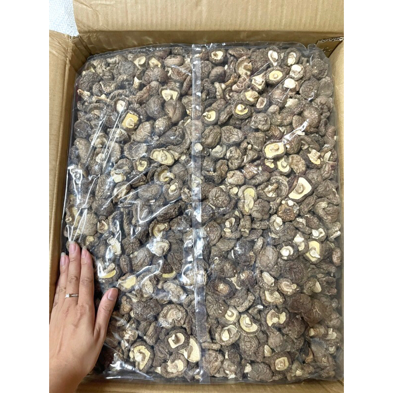 Nấm Đông Cô 4 phân
