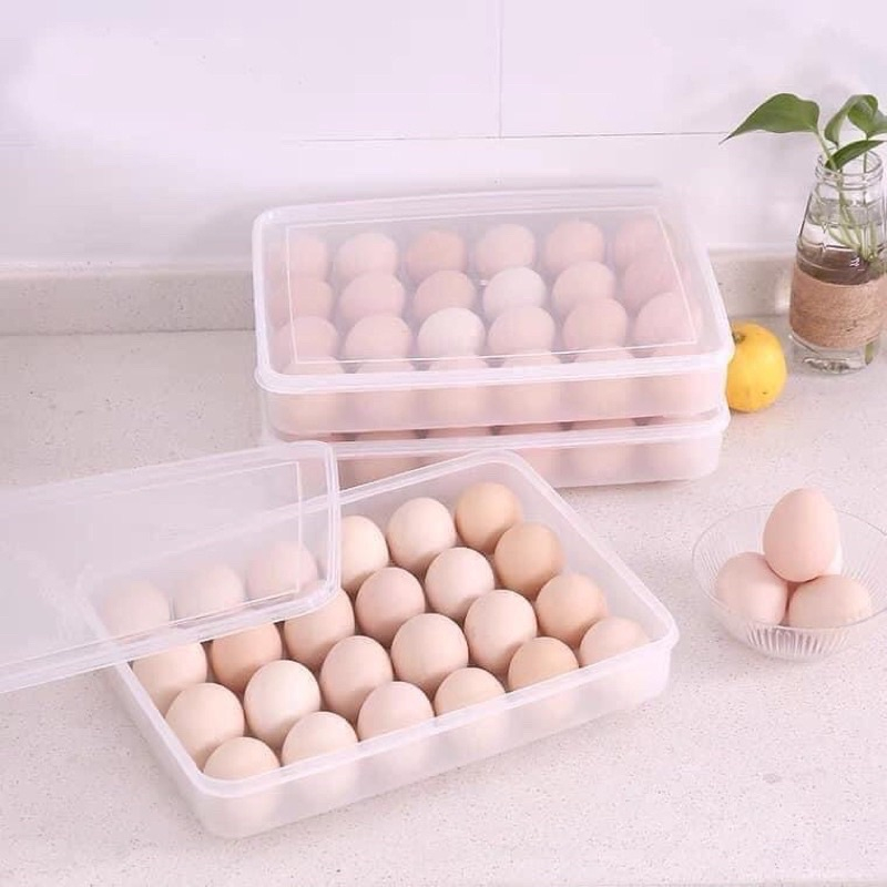 Hộp đựng trứng 24 quả có nắp đậy nhựa Việt Nhật mã 6786 , khay bảo quản trứng không bị vỡ chắc chắn (BH 1 năm)