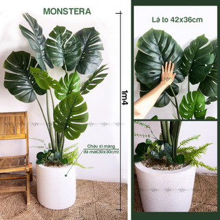 Cây giả,Trầu bà lá Xẻ to cao cấp Monstera 8 lá trang trí nhà cửa