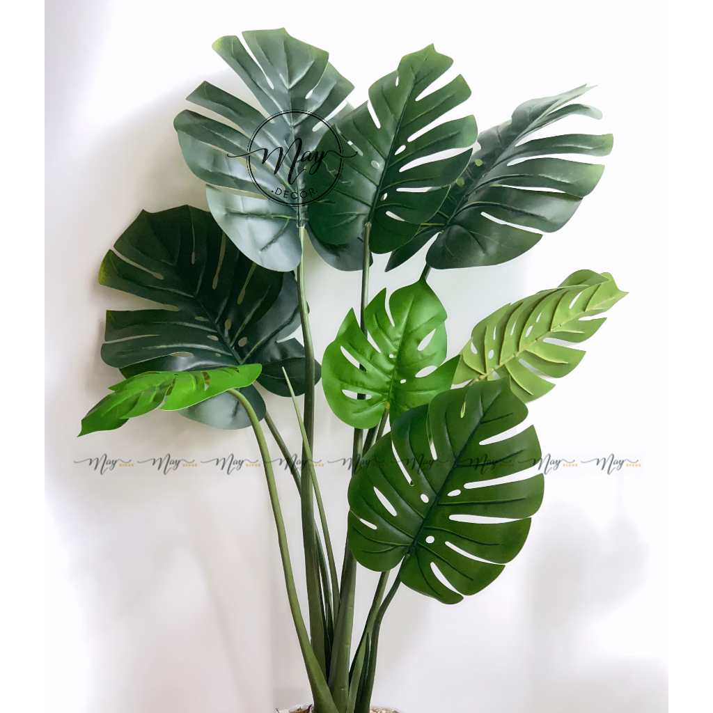 Cây giả,Trầu bà lá Xẻ to cao cấp Monstera 8 lá trang trí nhà cửa