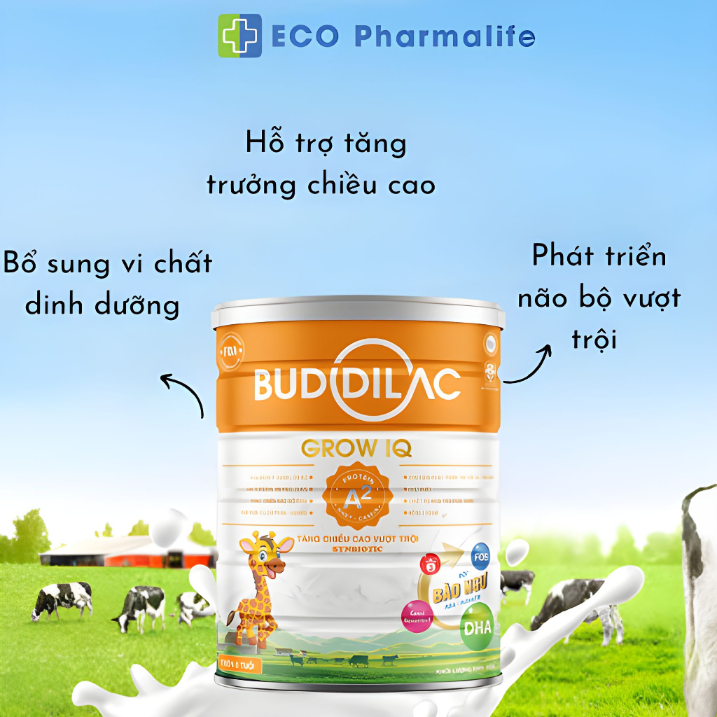 Sữa Bột Buddilac IQ Hộp 400/900g – Hỗ Trợ Phát Triển Trí Não Và Tăng Chiều Cao Cho Bé