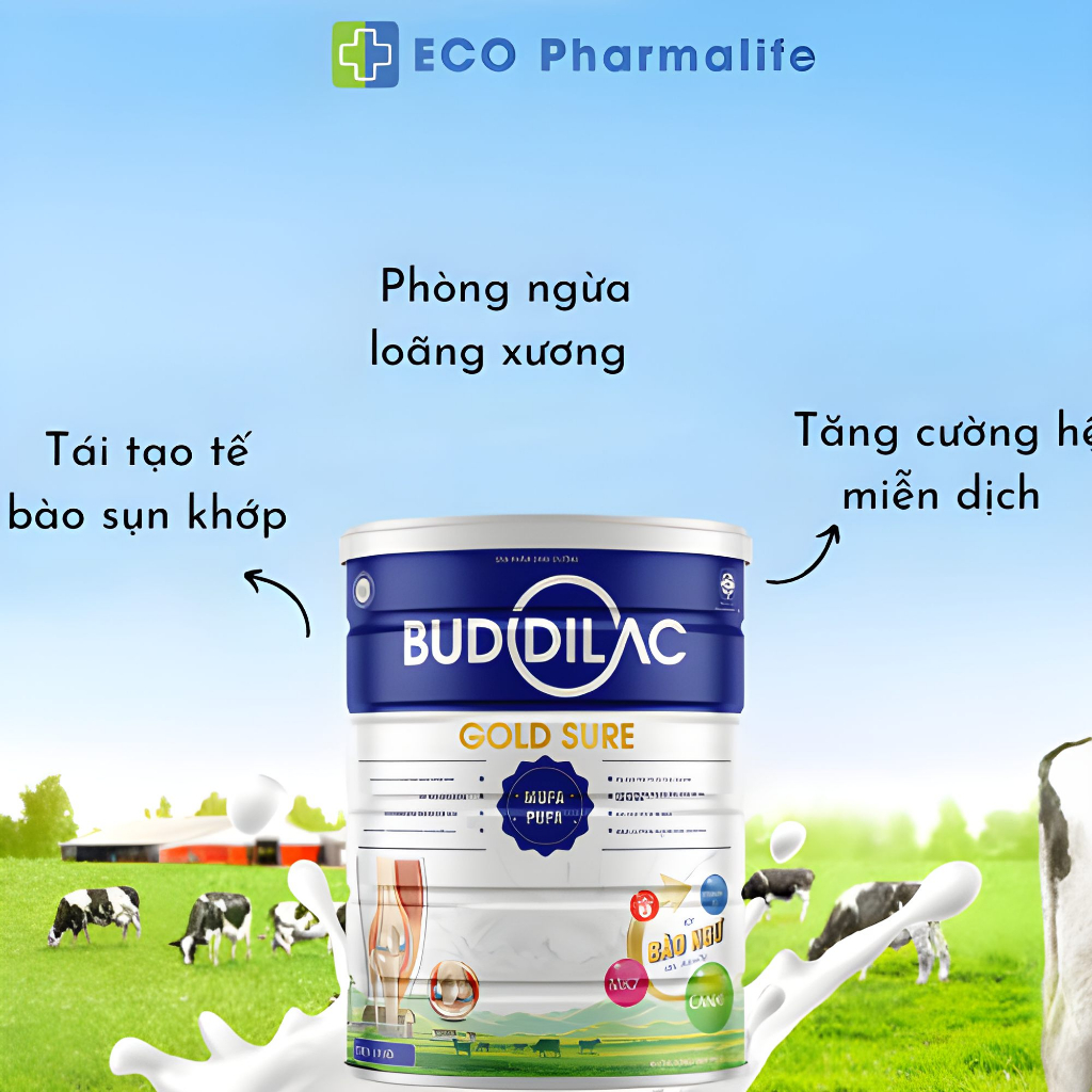 Sữa Bột Buddilac Gold Sure Hộp 900g - Tăng Cường Miễn Dịch Cho Người Lớn, Phòng Ngừa Loãng Xương
