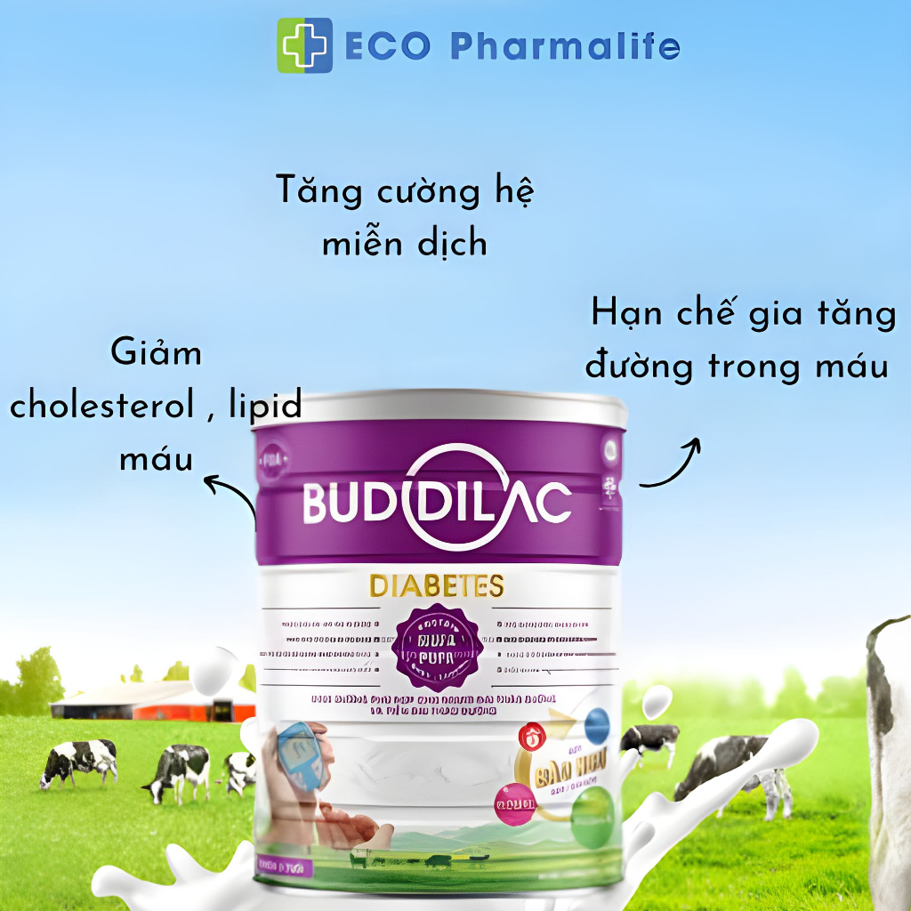 Sữa Bột Buddilac Diabetes Hộp 400g/ 900g - Ổn Định Đường Huyết, Ngăn Ngừa Mỡ Máu Cho Người Tiểu Đường