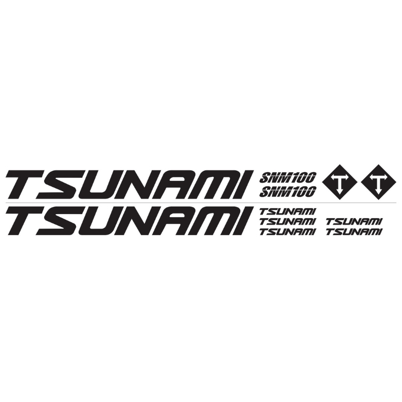 Tem tsunami fixed gear