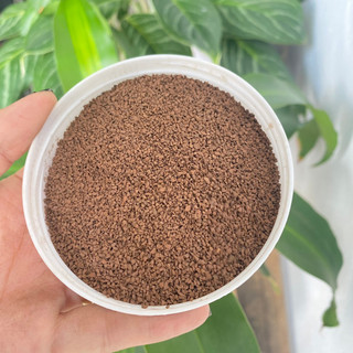 Zeomangan Đài loan 10kg