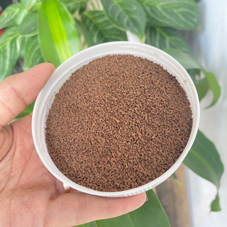 Zeomangan Đài loan( Cát Mangan Đài Loan) 10kg