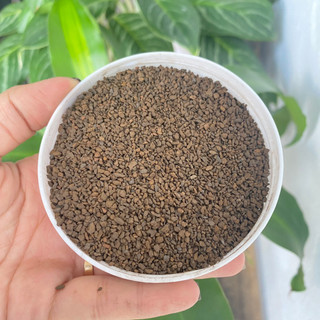 5kg hạt Mangan VN lọc phèn